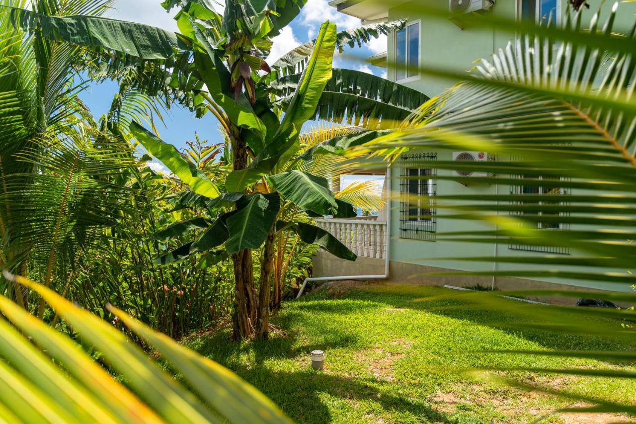Top View Retreat Selfcatering Anse a La Mouche Extérieur photo
